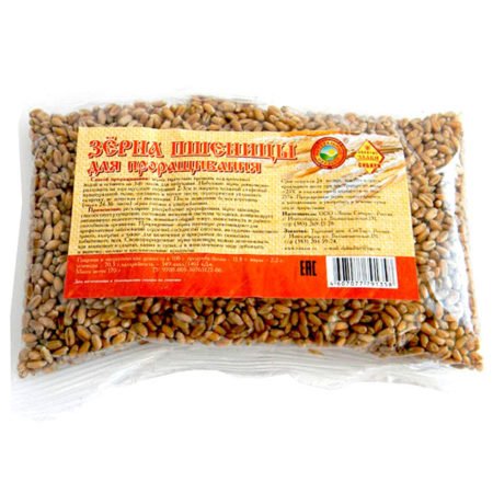 Зерна пшеницы для проращивания